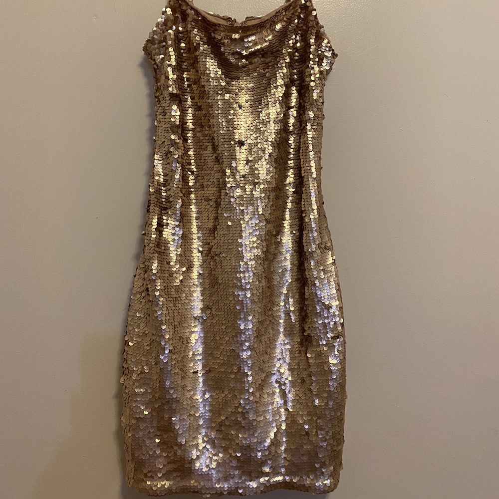 Lulus Sequined Dress